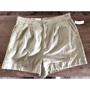 Joie Faded Cactus Green Linen Blend Pleated Shorts Sz L NWT